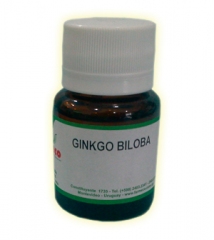 Ginkgo_biloba