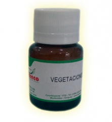 Vegetaciones